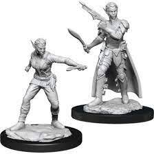 Shifter Rogue (Female) (90148)